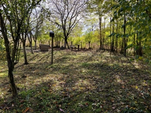 Casa de vânzare + gradina in sat Zagujeni - imagine 10