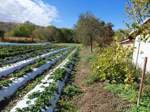 Casa de vânzare + gradina in sat Zagujeni - imagine 7