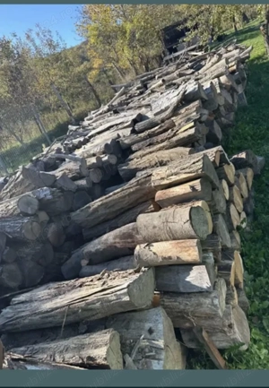 Vând lemne 6500 lei 25 m steri 