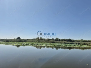 Teren 2500 mp – Izvorani | Deschidere directă la lac 