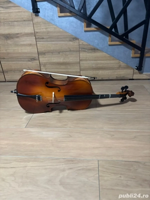 vand violoncel 3 4