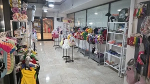 Afacere la cheie in Iulius Mall Timisoara, sau schimb cu teren locuinta auto - imagine 3