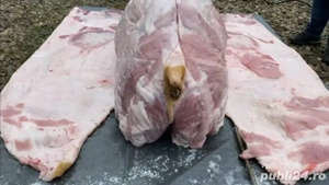 Porc de vanzare  - imagine 3