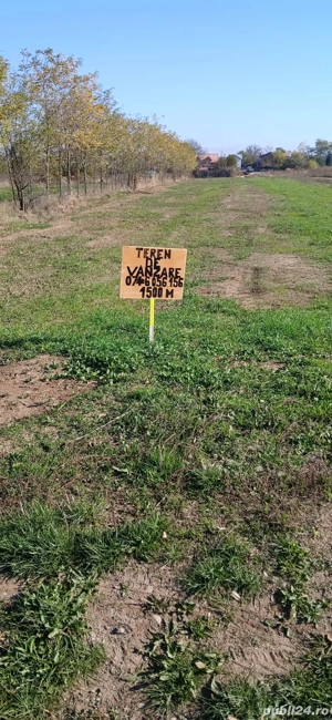 Teren de vanzare-1500 m patrati , Comuna Ciolpani