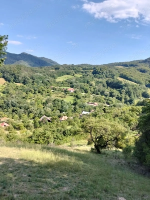 TREN suprafata 7,8 ha,zona idilica-APUSENI