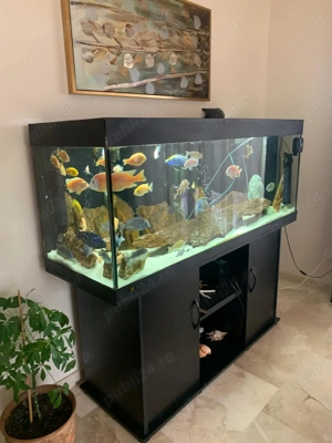 Acvariu Juwel 400 Litri - imagine 2