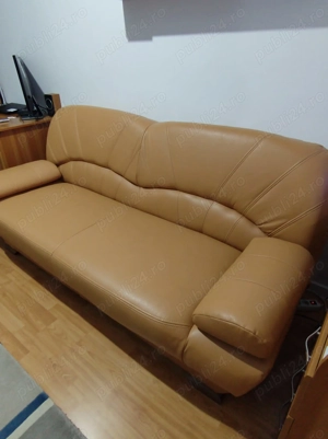 Canapea extensibila din piele