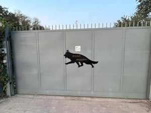 Ciobanesc german cu pedigree(părinți campioni) - imagine 4