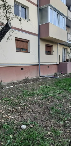 Vand sau schimb cu casa in Lugoj - imagine 10