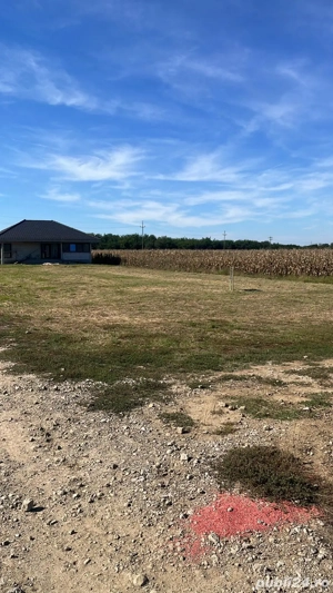 teren de vanzare băcia