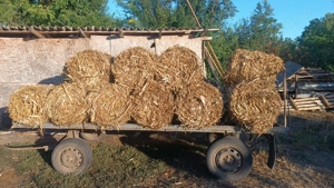 Baloți de coceni de vânzare  - imagine 2