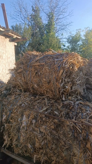 Baloți de coceni de vânzare  - imagine 3