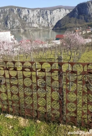 teren intravilan Dubova