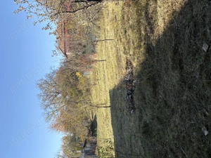 Teren de vanzare si Cabana - imagine 6