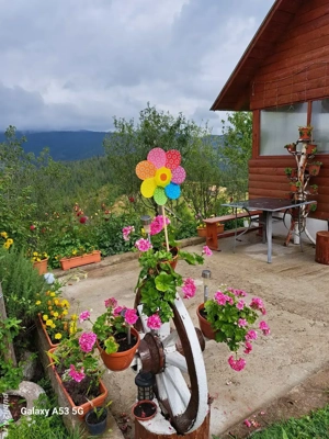 Cabană de închiriat  - imagine 3