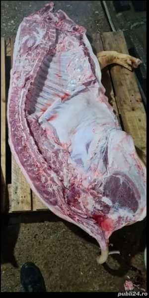 porci de carne  - imagine 5
