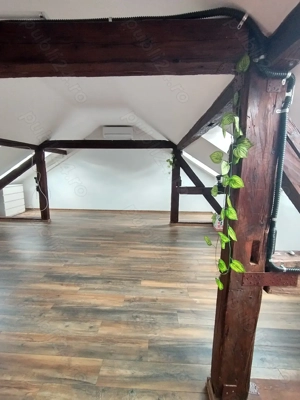 Vand spatiu comercial si de locuit P+M Ady Endre - imagine 8