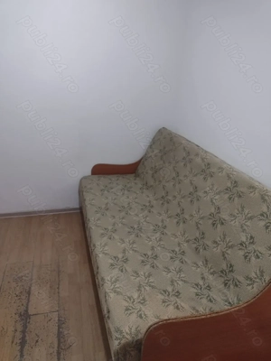 Lipovei - la casa - imagine 3