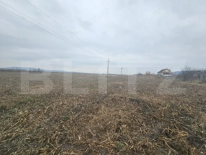 Teren extravilan 9000 mp, Ocna Mureş - imagine 2