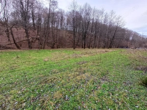 Resita, Teren Drept Intravilan, Langa Prau si Drum, Parcelabil, 4500 Mp., 15 Euro Mp., Renk - imagine 14