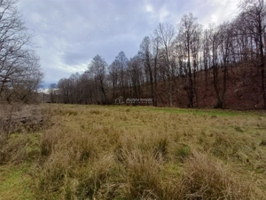 Resita, Teren Drept Intravilan, Langa Prau si Drum, Parcelabil, 4500 Mp., 15 Euro Mp., Renk - imagine 9