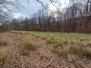Resita, Teren Drept Intravilan, Langa Prau si Drum, Parcelabil, 4500 Mp., 15 Euro Mp., Renk - imagine 13