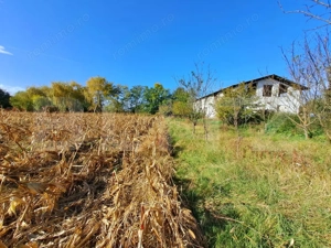 Teren Intravilan de 19000 mp, Ocna Mureş