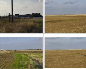 Teren Loc. Pielesti,  Jud Dolj