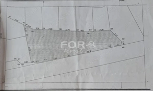 Teren de inchiriat 4000mp in Osorhei - 0.5 euro/mp - imagine 2
