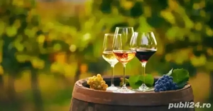 Vin Alb Rose Rosu-Excelent