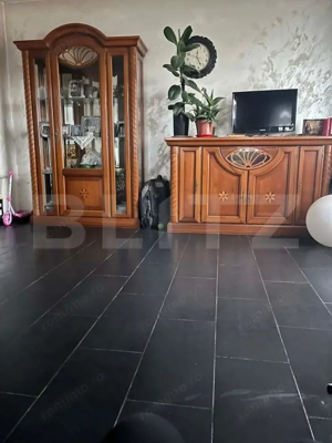 Casa individuala, 9.5 ari teren, zona Profi Sfantu Ilie - imagine 2