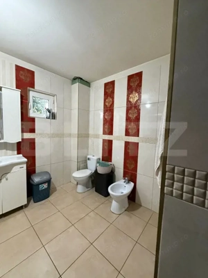 Casa individuala, 9.5 ari teren, zona Profi Sfantu Ilie - imagine 7