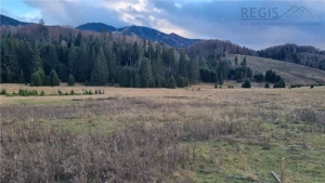 Teren intravilan zona Silver Mountain , Poiana Brasov - imagine 6