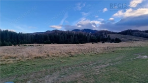 Teren intravilan zona Silver Mountain , Poiana Brasov - imagine 7