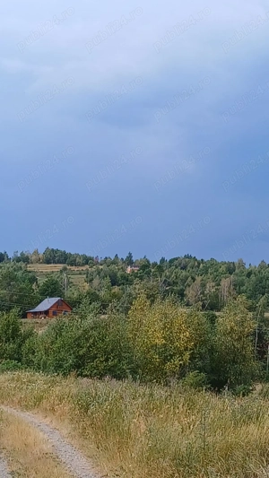 Vânzare teren zona de munte - imagine 4