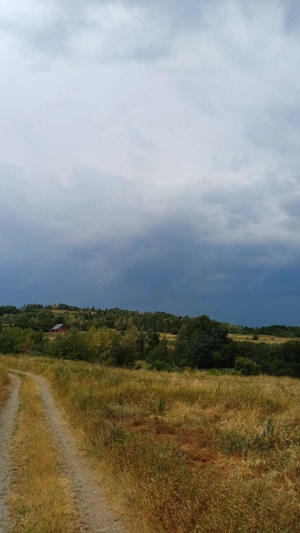Vânzare teren zona de munte
