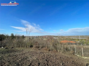 Teren de vanzare zona Bididia Tulcea - imagine 7