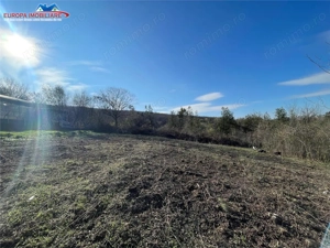 Teren de vanzare zona Bididia Tulcea - imagine 9