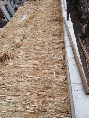 Vand maturi puțin peste 10 tone