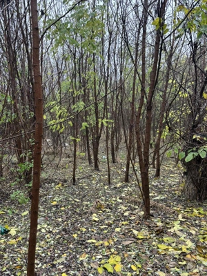 Casa de vânzare  - imagine 3