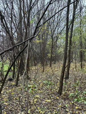 Casa de vânzare  - imagine 5