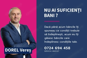 Hale depozitare/producție 2.000 mp si 10.000 mp teren în Pecica - imagine 17