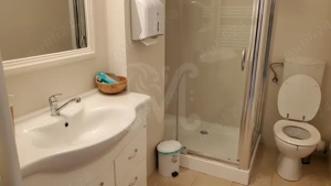   Vânzare Spațiu Comercial de la proprietar - str. Ciocârliei, Mărăști - imagine 7