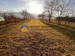 Teren de Vânzare – 1172 mp – Dumbrava Roșie, Neamț