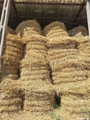 Vând baloți de paie