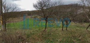 Vanzare Teren - Comuna Beresti-Tazlau, sat Bosoteni - imagine 2