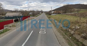 Vanzare Teren - Comuna Beresti-Tazlau, sat Bosoteni - imagine 4