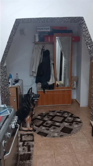 Tomesti  Ap. 2cd s=50mp renovat, et 4 4 cu pod bloc pe cadre, reabilitat termic - imagine 6