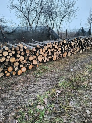 vand lemne de foc carpen cu stejar diametru normal 