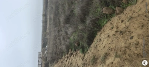 Vand 3000mp parcelati la intrarea in Craiova - imagine 9